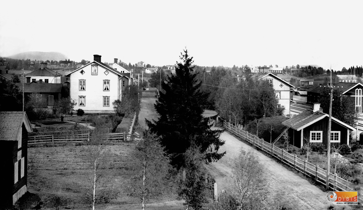 Arbrå samhälle. Vita huset t:v Hotell Gästis. Det stora huset rakt över vägen är järnvägsstationen. Bilden tagen från söder.