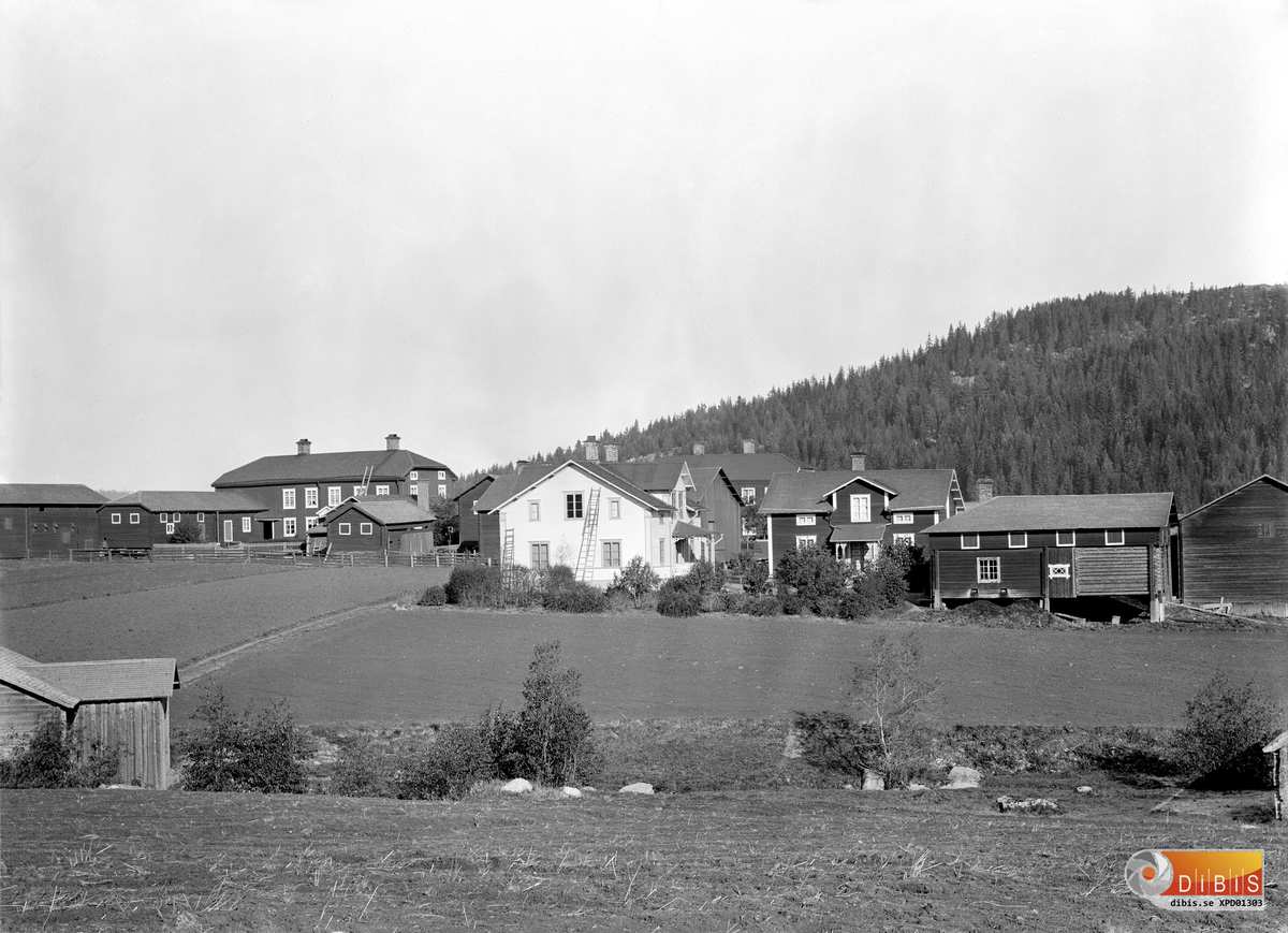 Gårdar i Björtomta by. Närmast ser man PerJöns gård och till vänster har vi Västergården och bakom PerJöns skymtar man Olbengts. I bakgrunden syns Bullerberget.