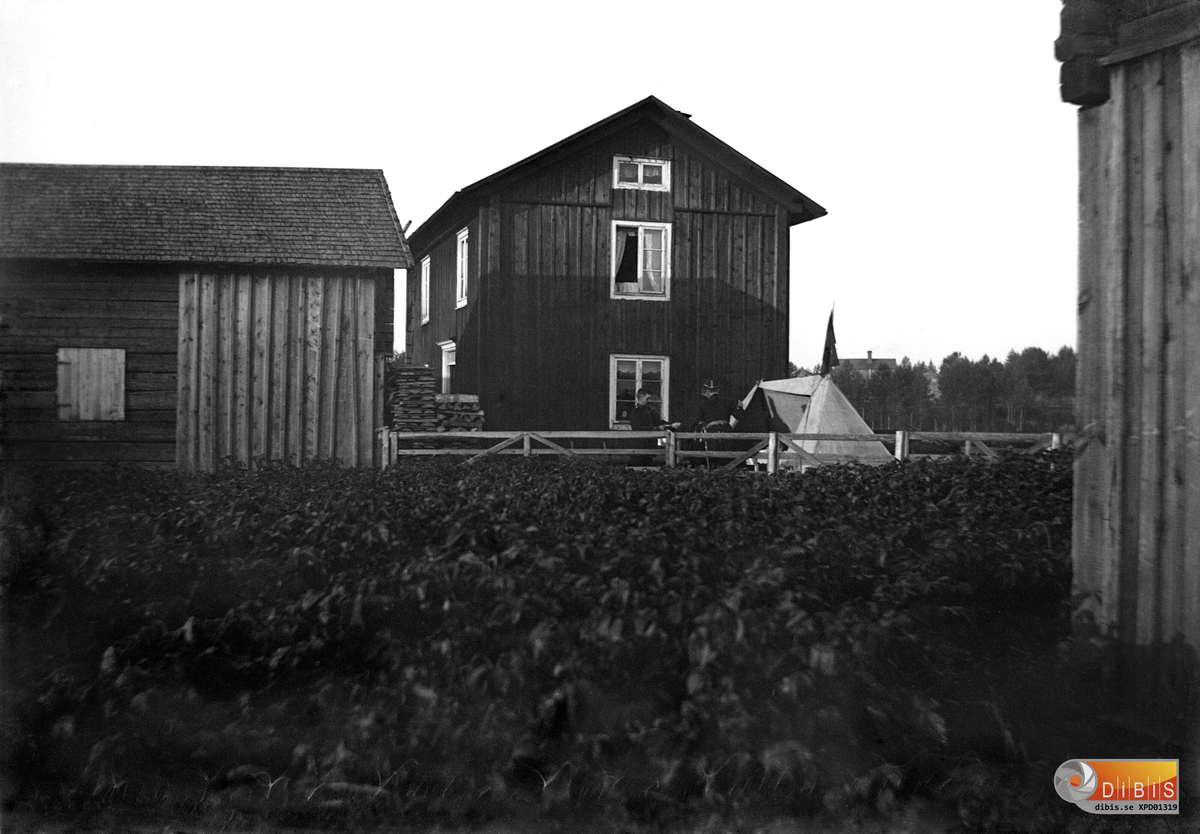 Fältmanöver 1898. Tältet vid Smelinds gård.