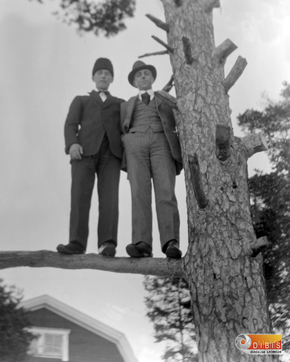 Edvin Tegman och Evald Persson håller utkik från hög höjd. Platsen är Blåsut i Ala