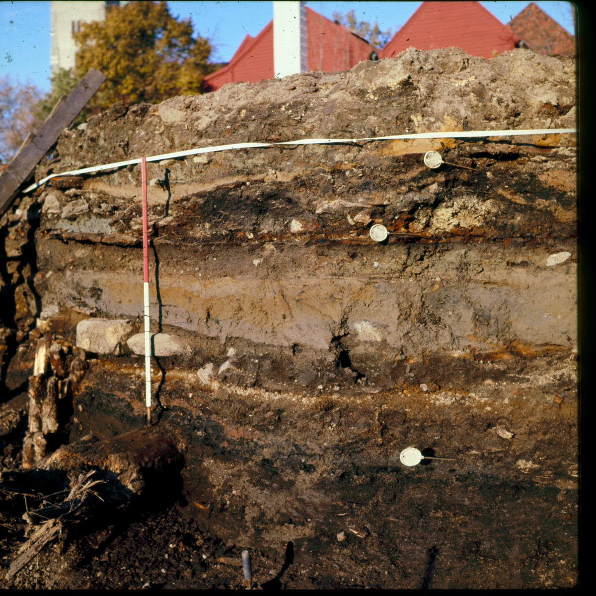 Steinkjeller. Profil langs ca 90y, etter at vestmur er fjernet. Hvitt bånd på + 250.