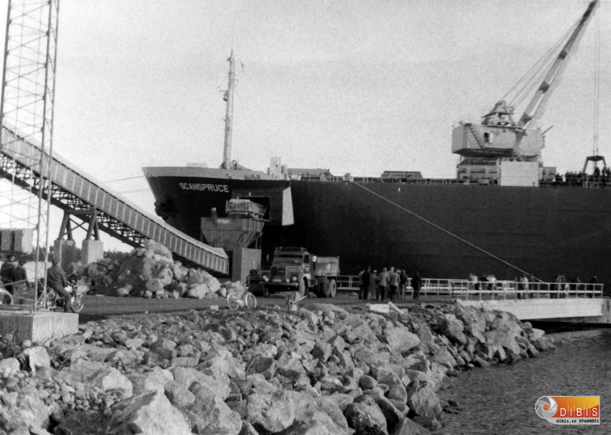 9-11 1977
M V Scanspruce ligger vid Stora Orrskär Ala, Ljusne. På båten är det remtransportöer som vidarebefordrar flisen ut där framme i fören. Detta resulterar i de stora flishögar som växer
fram på kajen.