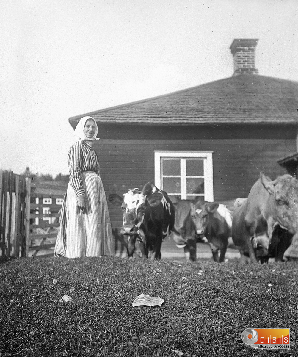 Från Svabensverk vid Nordins. Damen är Helena Andersdotter Nordin 1864-1943 hon var mor till fotografen Rickard Nordin.