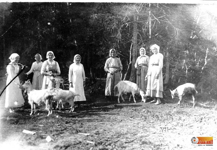 Fäbodjäntor i trakten av Gräsbo fäbod.
Okända. Fotografen heter Johan Ohlsson, Viken