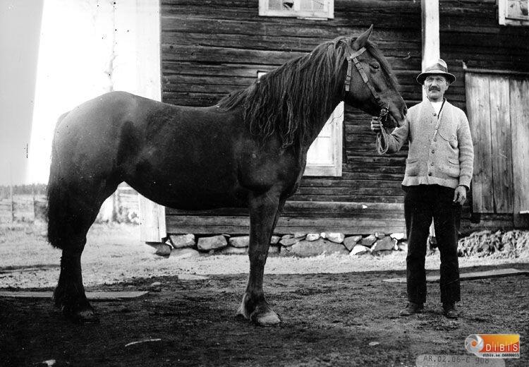 Carl Isak Thunström som tidigare hette Snäll f.1895 från Kattmyr Ljusdal.
Thunström var gift i tur och ordning med två av systrarna Grips Ovanåker.