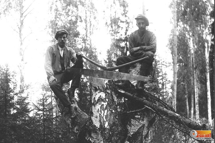 Två män sitter på en stubbe efter en stor s.k. klossenbjörk.
Gustav Jonsson och Erik Lust.
