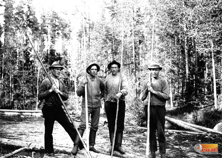 Flottning, fyra män.
Hanses-pojke, Emil Altberg, Björa-Per, Hanses-pojke.
