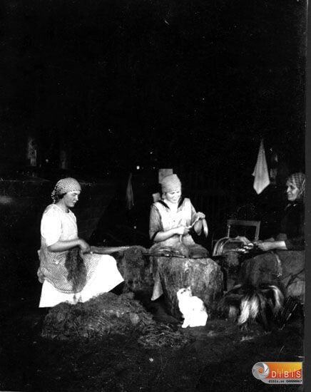 Linberedning i Danesfäxet.
Fr.v. Färms-Bricken Olsson, Beda Blom, Danes-Mor.