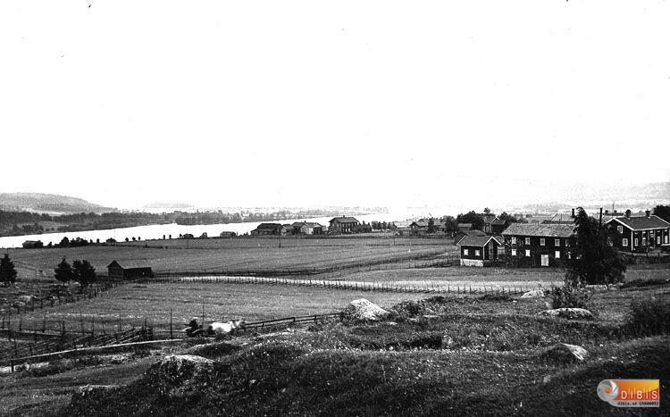 Järvsö?