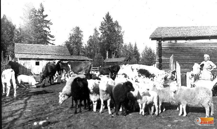 Okänd fäbod med fäbodjänta.