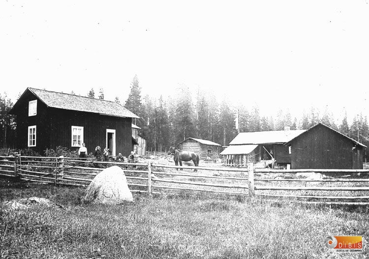 Hedlinds gård Gräsmyran Edsbyn.
Erik Hedlind med fru Helena f.Eriksson samt barnen Rosa Helena, Erik Edvin, Per Gottfrid,
Annie Maria, Dagny Ella Elisabet.