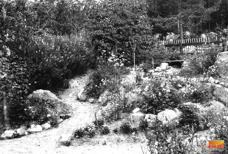 Fotografen och trädgårdsmästaren Svante Sälls trädgård.