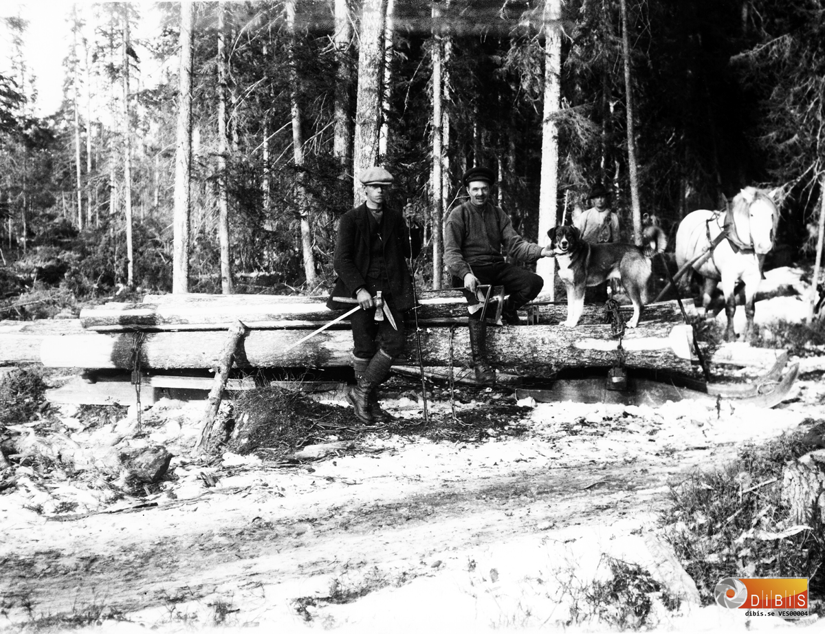 Timmerkörning, i Njupa, Voxnabruk år 1926.