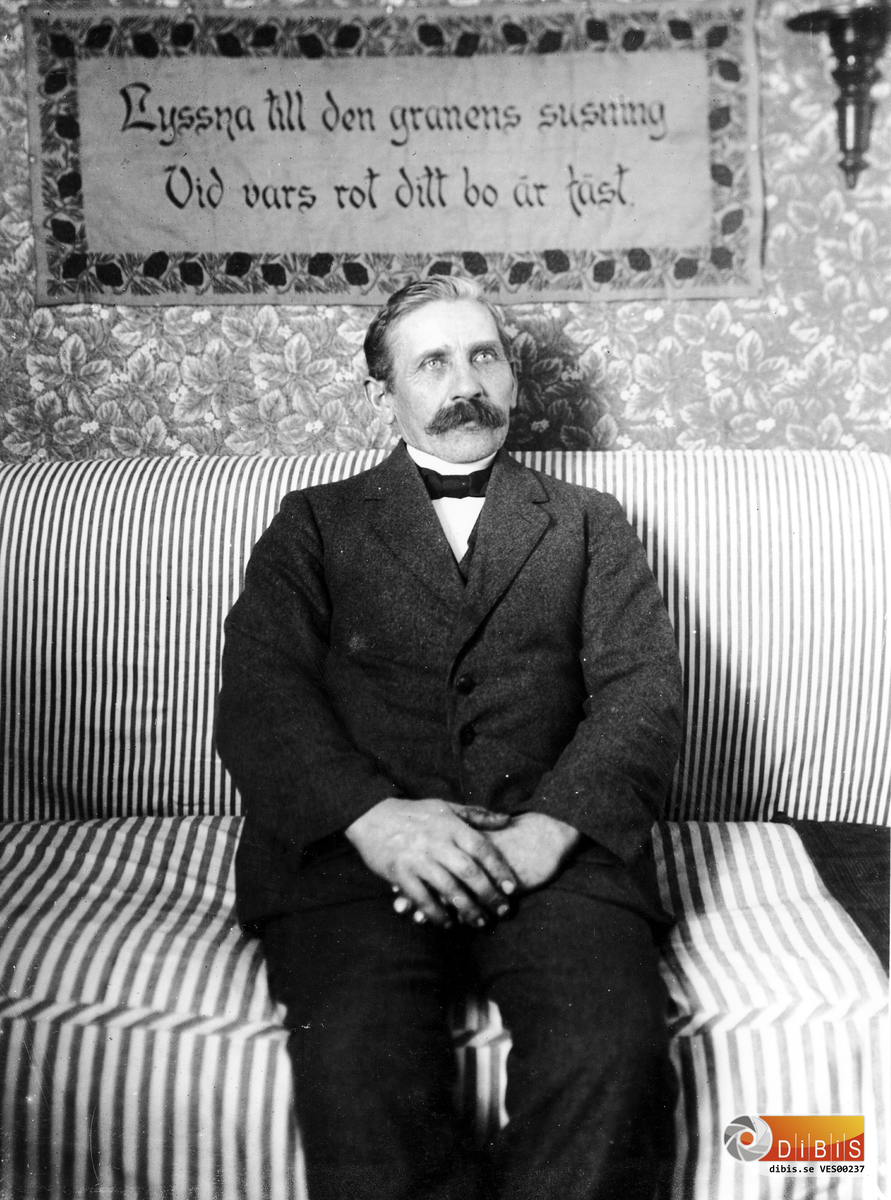 Carl Jernberg, Voxnabruk.