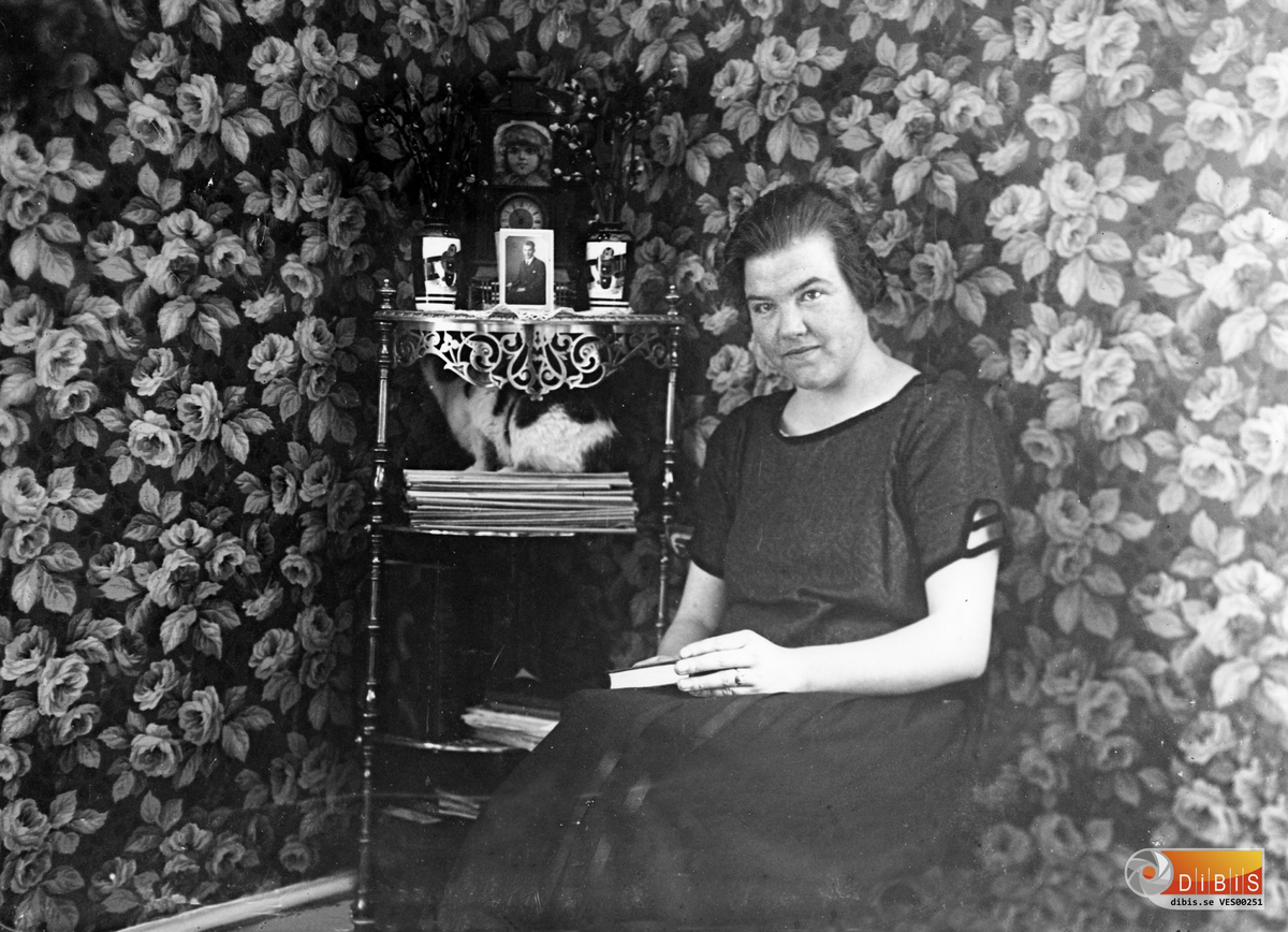 Barnmorskan Frida Larsson, Voxnabruk.