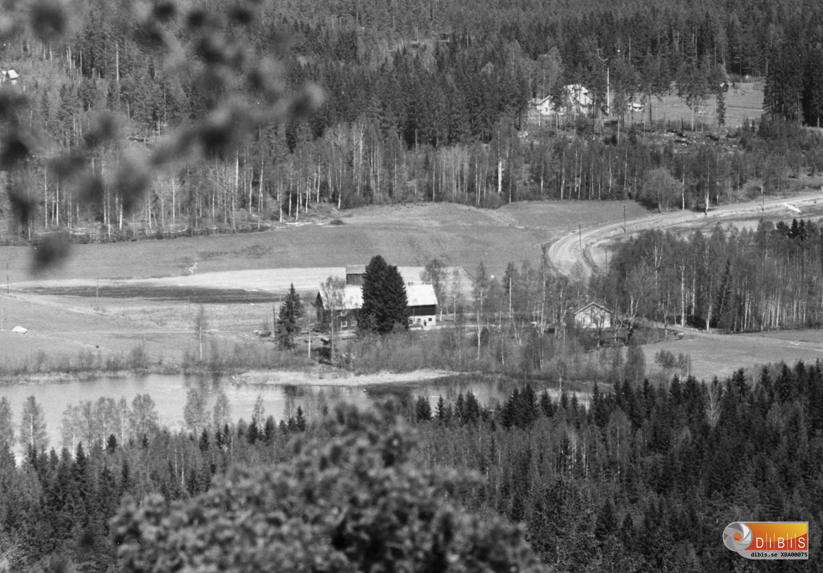 Bilden tagen från Gullberg med utsikt över Verkmyra med Zetterstens gård i förgrunden.