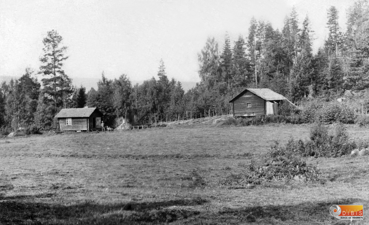 Bilden visar Långnäs fäbod belägen mellan byn Lynäs, Bergvik, och fritidsområdet utefter Sandsviken in mot Skog.
Vallen tillhör Nygården i Lynäs och brukades fram till mitten av 1900-talet. I varje fall var markerna öppna.
Den som besöker platsen i dag finner själva fäboden inbäddad i skog. I omgivningen finns intressanta lämningar i form av sönderfallna redskap, tydliga lämningar av dikning och arrondering samt en botanisk miljö som varje sommar lockar besökare.
Blåsippsbackarna kring den gamla vallen är någonting alldeles extra.