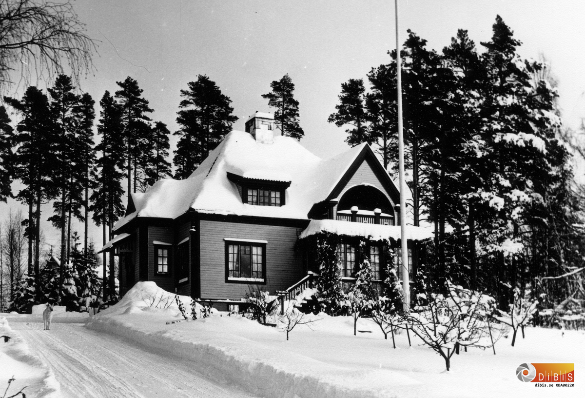 Villan är belägen i övre delen av Lynäsbacken söder om bron i Bergvik. Under 1950-talet ägdes den av åkeriägare Frans Eriksson. Från villan har man en fin utsikt över Bergviken.