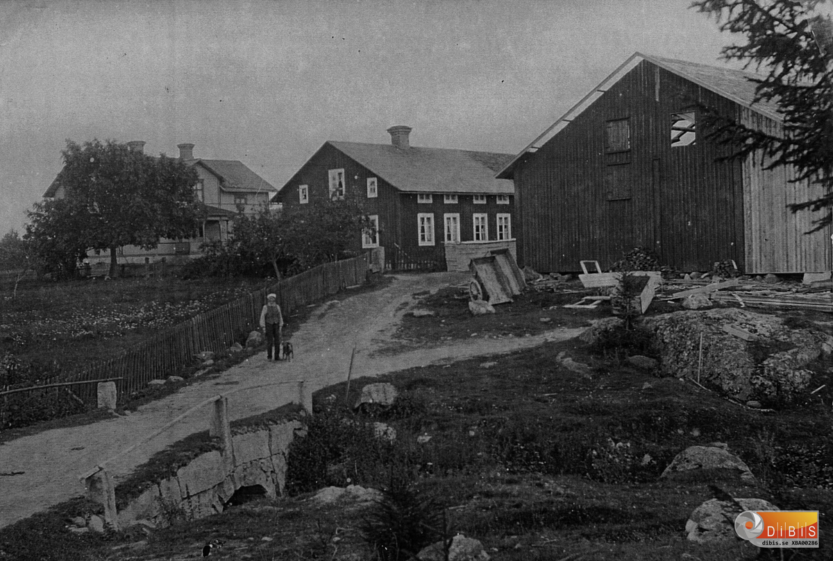 Nygården i Lynäs by, Bergvik. Under större delen av 1900-talet har gården ägts av familjen Larsson.
Den bro som finns på bilden spänner över Bosjöbäcken som avvattnar Västra Bosjön.
Flödet var så pass kraftigt att det gick att driva en ramsåg något hundratal meter medströms bron. Sågen ägdes av byns bönder som anlitade en sågare som tog hand om det virke som avverkats i de närliggandfe skogarna.
Redskapen för gaveln på den ännu inte färdigbyggda ladugården är två stälpflakar och en snöplog. Stälpflaken var dåtidens dumper som lätt blev av med lasten i baktipp. Oftast handlade det om grus eller sand, potatis eller gödsel.
Stickvägen till höger ledde till sågverket.
Byggnaden till vänster innehöll den rumsindelning som var vanlig på gårdar av den här storleken. En hall innanför verandan, ett kök, två rum i vardera hörnet på byggnaden och en sal att använda för festliga tillfällen.
Byggnaden till höger var, när den här bilden togs, ansluten till ett brygghus och en mindre ladugård som föregick den, vars gavel dominerar bilden.

Här följer resultatet av mera ingående studier kring gården:

NYGÅRDEN.
En röd mangårdsbyggnad är uppförd 1890, en annan vit 1899. Stall och ladugård tillkom 1910, loge och magasin ca 1890. Sedan 1600-talet finns följande släktlängd:
Anders Jonsson Sara
Per Andersson	1684-1741
Ingrid Ersdotter                  1691-1785
Sigrid Persdotter	1719-1797
Jonas Larsson                     1709-1758
Pehr Jonsson	1744-1822
Margta Olsdotter               1748-1816
Helena Pehrsdotter	1786-1869
Olof Olsson                         1786-1878
Anna Olsdotter	 1812-1886
Gustaf Andersson               1809-1865
HelenaGustafsson	  1843-1910
Nils Larsson                        1836-1915
Lars Nilsson	                       1877-1933
Brita Kristina Öhrn               1877-1957
Nils Larsson  	  1900-1978
Ruth Blomqvist                      1899-1961
Erik Larsson	                1904-1973 Bror till Nils
Karin Larsson	1933-2007
Nils H Larsson                    1930-2001
De sistnämnda ägarna har barnen Gunnar, Kerstin och Ewy.
1925 var det röda huset dubbelt så långt i jämförelse med vad det är idag. Fyra män och två kvinnor fanns på gården, inga barn. En av männen var gårdskarl och en kvinna tjänstgjorde som piga.
Detta fanns på gården
12 nötdjur, 2-3 hästar, 2 grisar och 5 får.
Ca 23 ha brukades för hö och spannmål
för eget behov.
1900-1936    avyttrades    14,5    ha    från
fastigheten    till    egnahemstomter.
1967 gjordes tillköp av ca 10 ha åker och skog.
Ett stort hus har tidigare funnits mellan
askträdet och bäcken.
Gården har fäbodställe på Långnäsudden.
