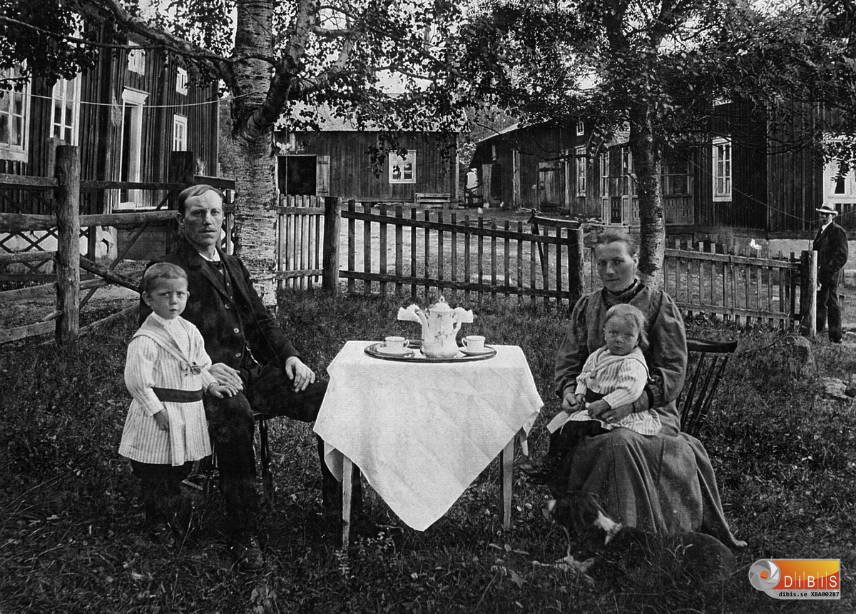 Bilden visar Petter och Anna Viklund som vid det här tillfället bodde på den gård i Lynäs som
gick under namnet Murar-Karls.
Bredvid Petter står sonen Jonas och i Annas knä sitter Olle.
Längre fram skulle paret bo på ett soldattorp i Örsta, nästan mot sluttningen av Gullberg. Därifrån flyttade man till Klovheden och en plats som gick under namnet Stenrike.
.
Olle var född 26 december 1914
Han avled den 31 mars 1999.
1942 vann han Vasaloppet och tävlade framgångsrikt under flera år.
Även Jonas Viklund ägnade sig åt skidåkning utan att nå Olles nivå. Han var bland annat arbetsledare vid den cementfabrik som anlades av Eric Wiik. Fabriken övertogs senare av Skånska Cement men upphörde när tillgången på sand i närheten blev sämre.

Detta är vad en studiecirkel kring gårdarna i Lynäs kom fram till:

25. JAN-ANNERS, MURARCARLS.
Vid sekelskiftet brukades fastigheten av Anders Johansson och hustrun Anna Kristina Jonsdotter från Norra Råda i Värmland.
Hon var född 1860, kom fotvandrande upp till norrlandskusten 1884 och fick tjänst i Nygården.
Där blev hon kvar till dess att hon gifte sig med Anders 1888. De fick döttrarna Sofia, Ester, Johanna, Eda, Tilda och Agnes. På gården fanns en piga som kallades för Hickel-Maja.
Omkring 1918 drevs fastigheten under några år av Agnes med maken Gustav Gustavsson. Per "Petter" (f. 9/7 1879, d. 18/9 1950) och Anna Wiklund (f. 1884, d. 8/5 1976) bodde här ca 1910-18. Per kom från Lörstrand och arbetade vid Marmasågen, Anna var piga i Sörgården. Efter giftermålet bodde de en tid i Dunderbergs innan de flyttade till bryggstugan hos Jan-Anners.
Barn: Johan 1909-86, Jonas 1912-96, Olle f. -14, Karin f. -16, Sven f. -22 (dog året därpå), Anne f. -20, Lars f. -21, Helge f. -24 och Asta 1931-77.
Familjen flyttade 1918 till Hellboms.
Ytterligare ägare fanns under kortare tid, bl.a. en Lindblom och en hälsovårds-
inspektör Widegren från Söderhamn. Fastigheten köptes 1928 av Carl Jonsson och hans hustru Bricken.
Barn: Hilding, Einar, Anna, Ester, Hildur, Ella (?), Valdy och Lisa. C J drev gården med viss hjälp i slutet av sitt liv. I samband med hans död köptes fastigheten ca 1962-65 av Lantbruksnämnden. Den delades, med Bosjöbäcken som naturlig gräns. Den södra delen jord och skog inlemmades med Lynäs 4:3, den norra delen med Lynäs 1:13. Hus och uthus med tomt såldes som fritidsställe till Leif och Liz Seeman från Stockholm.