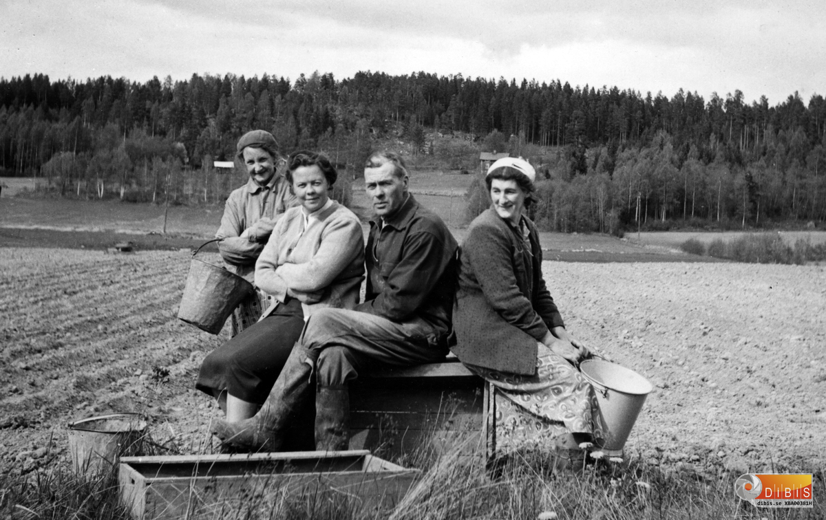 Potatisen i jorden på Nils Larssons gård i Lynäs, Bergvik.
Medarbetare är från vänster:
1. Lisa Larsson
2. Ingrid Bergström
3. Greta Strandberg, uppväxt i Verkmyra, Bergvik.
Huset som skymtar bakom Gretas ljusa mössa är det första huset man kommer till efter att ha lämnat Klovheden, Bergvik, och rullat utför backarna ner mot Lynäs by.