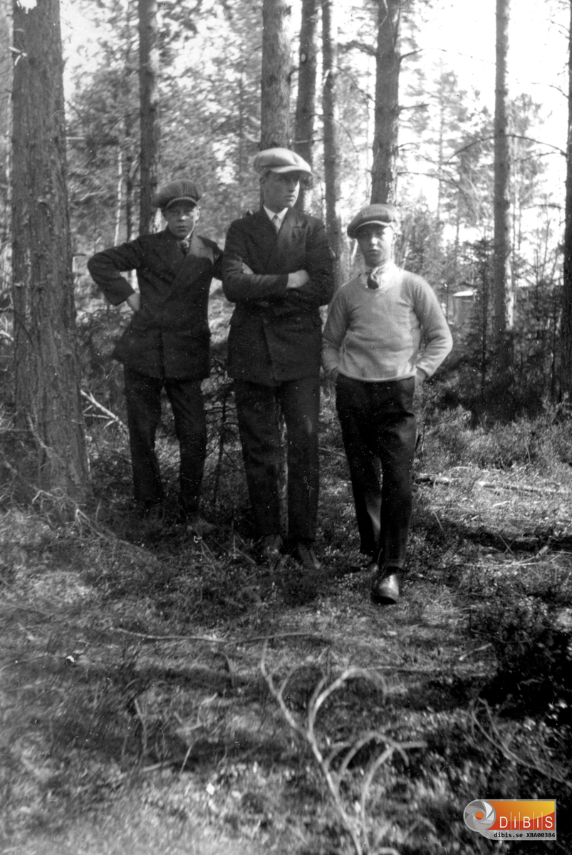 Tre unga män hemmahörande i Vannsätter, Bergvik. Deras namn är Erik Larsson, Bengt Jansson och Hjalmar Nordqvist.