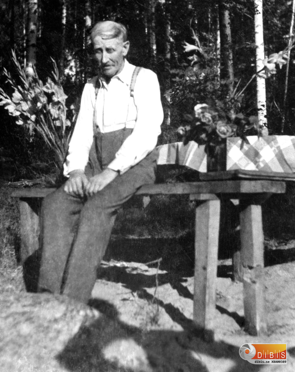 Erik Eriksson, Vannsätter,