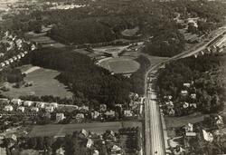 Slottsskogen
Slottsskogsvallen