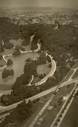 Slottsskogen
Stora dammen
Vita bandet