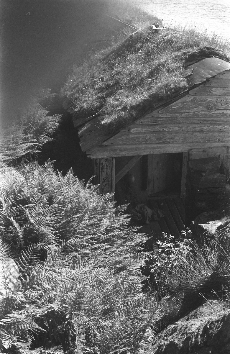 "Søbuer" nord, Breiviksund i Øygarden oppm. 1963 (B.D.Bs nr.2)