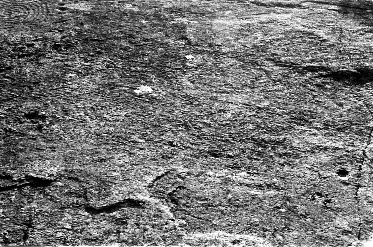 Bruteigsteinen på Flote, forskjellige detaljer av helleristningsfeltet, uoppmalt.