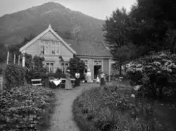 Fotograf-samlingene, Universitetsmuseet i Bergen