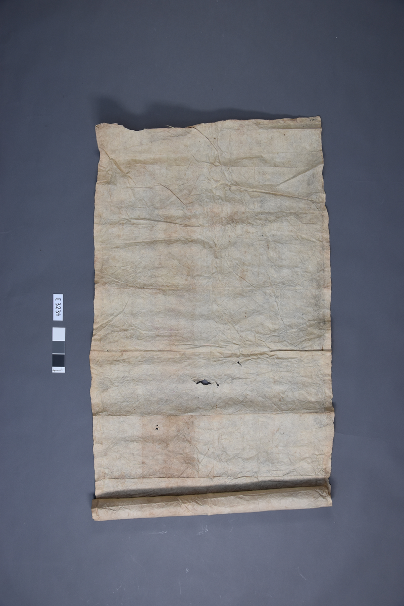 E 3234. Hvit trebark, et rektangulært stykke bark