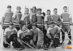 VSK, Vågbro sportklubbs ishockeylag uppställda på hockeyrink