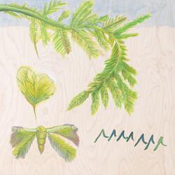 Tusen små og store åndedrag [Tegning]