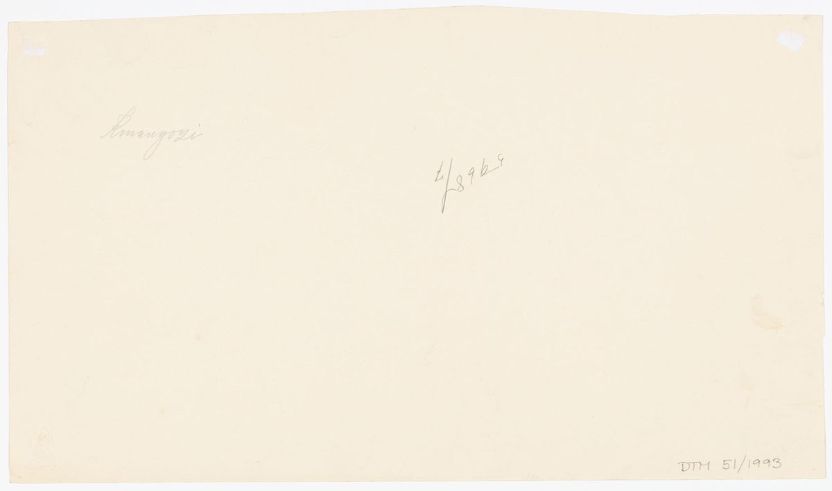 Längst till vänster en hukande man (Artur Cederborgh som Simba) i kortbyxor och kortärmad tröja. Över honom en man (Erik Rosén som Arnold Allington) i safarikostym med piska höjd över huvudet. I mitten en man (Ivan Hedqvist som Kinangozi) i safarikostym, skägg och två hattar på huvudet. Över axeln hänger ett gevär och i hans högra hand en stav. Till höger en kvinna (Pauline Brunius som Sylvia) i   till hälften uppknäppt kjol, blus, sjal, knähöga stövlar och tropikhjälm. Längst till höger kvinna (Inga Tidblad som Cecily) i klänning med fickor. Hon bär knähöga stövlar.