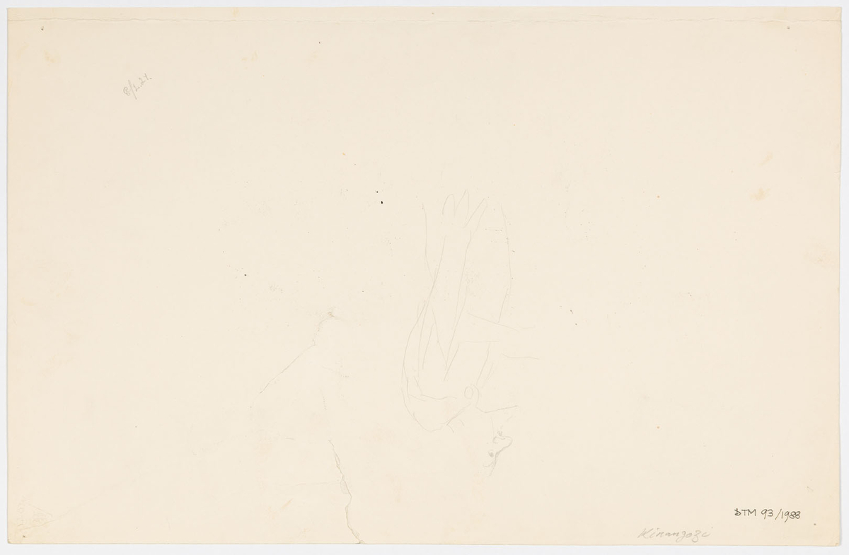 En kvinna och tre män. Två av männen bär safarikostymer. Den tredje mannen (Arthur Cederborg) bär kortbyxor och kortärmad tröja. Han står framför en låda märkt: "Fortnum and Mason". Kvinnan (Pauline Brunius) som är längst till vänster bär klänning, snörade stövlar, hatt och över axlarna en sjal. Mannen (Ivan Hedqvist) till höger bär även gevär och håller i en stång med två hattar på. Mannen (Erik Rosén) längst till höger håller en piska i sin vänstra hand. På baksidan skiss av en man med skägg.
