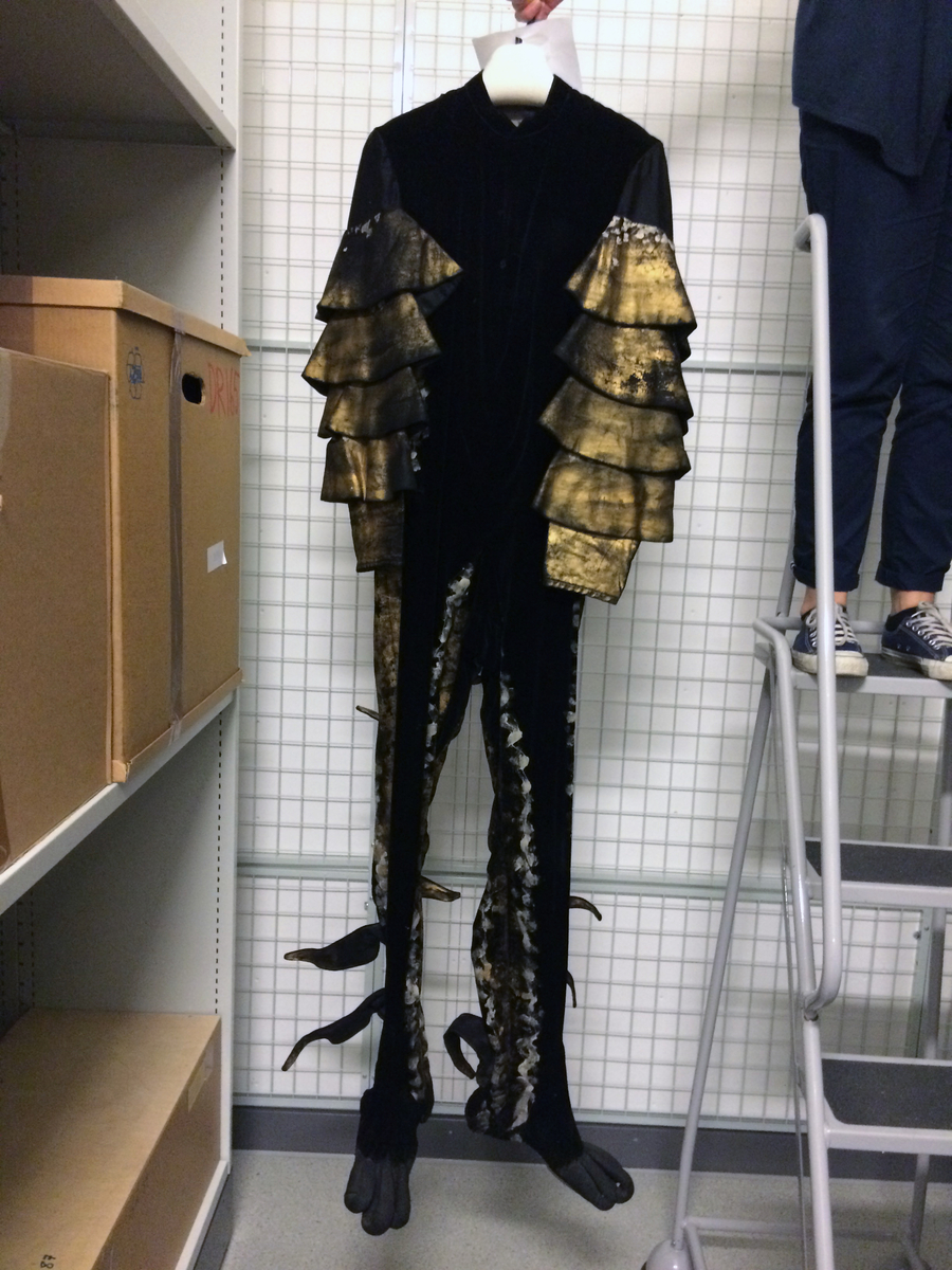 En svart heldräkt med en liten svart uppstående krage. Ärmar och sidor har ett påmålat gyllne, silverfärgat mönster. Benen avslutas med svarta fötter med långa böjda klor. Ärmarna har fyra påmålade (gyllen) rundgående applikationer samt två hyskor och hakar på varje sida. På baksidan åtta svarta knappar, en hyska och en hake. Fodret är grått.
