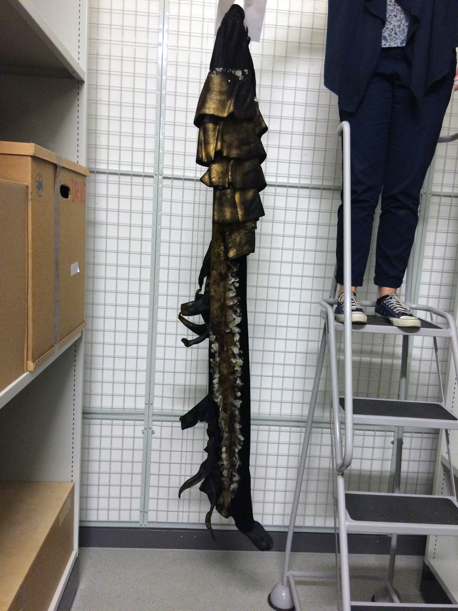 En svart heldräkt med en liten svart uppstående krage. Ärmar och sidor har ett påmålat gyllne, silverfärgat mönster. Benen avslutas med svarta fötter med långa böjda klor. Ärmarna har fyra påmålade (gyllen) rundgående applikationer samt två hyskor och hakar på varje sida. På baksidan åtta svarta knappar, en hyska och en hake. Fodret är grått.
