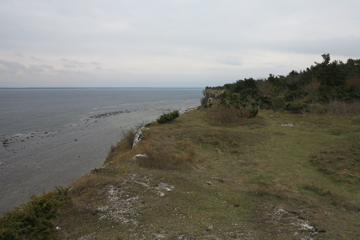 Strandparti. Den 17 hektar stora fastigheten omfattar den storslagna kustklinten öster om Halls fiskeläge med rasbranter och klapperstensstrand, samt – ovanför klinten – häll- och skogsmark.