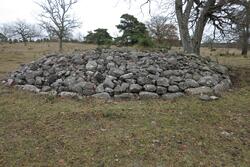 Vallhagars fornlämningsområde
