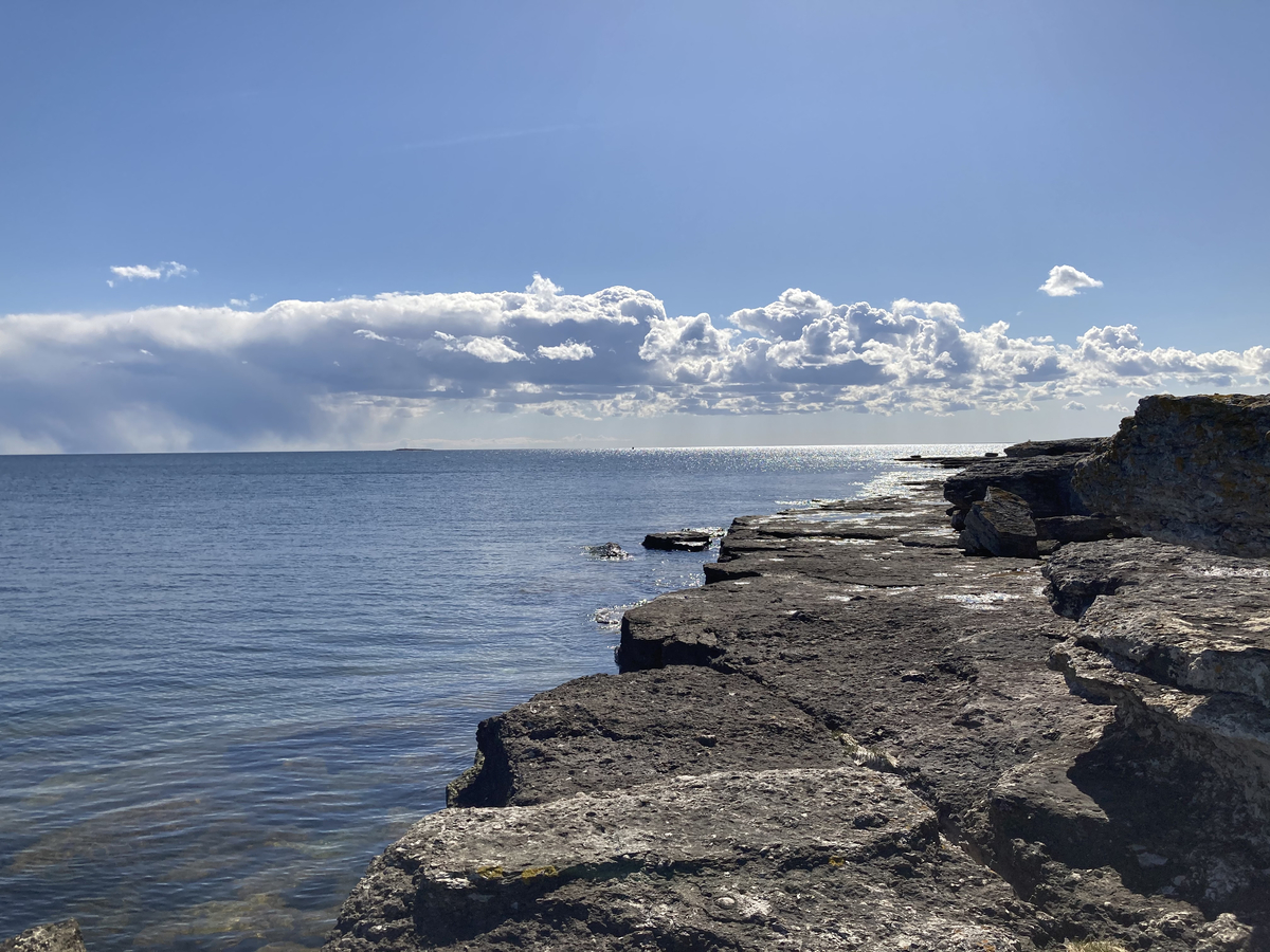Naturområde bestående av en revkalkkulle med därpå stående ruin av S:t Olofs kapell, rauken S:t Olofs vaskefat och flera andra raukar samt en väderkvarn. Kullen täcks av strandvallar, och vegetationen består av betespräglad gräshed med låga enbuskar. Raukarna bildades av Littorinahavet.

På området finns grunderna av ett kapell från medeltiden. Över dess västra del är uppförd en byggnad från 1800-talets mitt, 1910–1920 använd som stenarbetarbostad. Ovanför ingången sitter en stenplatta med följande inskrift: "Konung Olof den Helige från Norrige byggde kyrkan år 1029 / Egaren till S:t Olofsholm reste denna sten år 1844". Ägare var då Jacob Dubbe, Visby.

Kapellruinen restaurerades 1976.