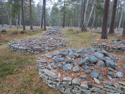 Trullhalsars gravfält