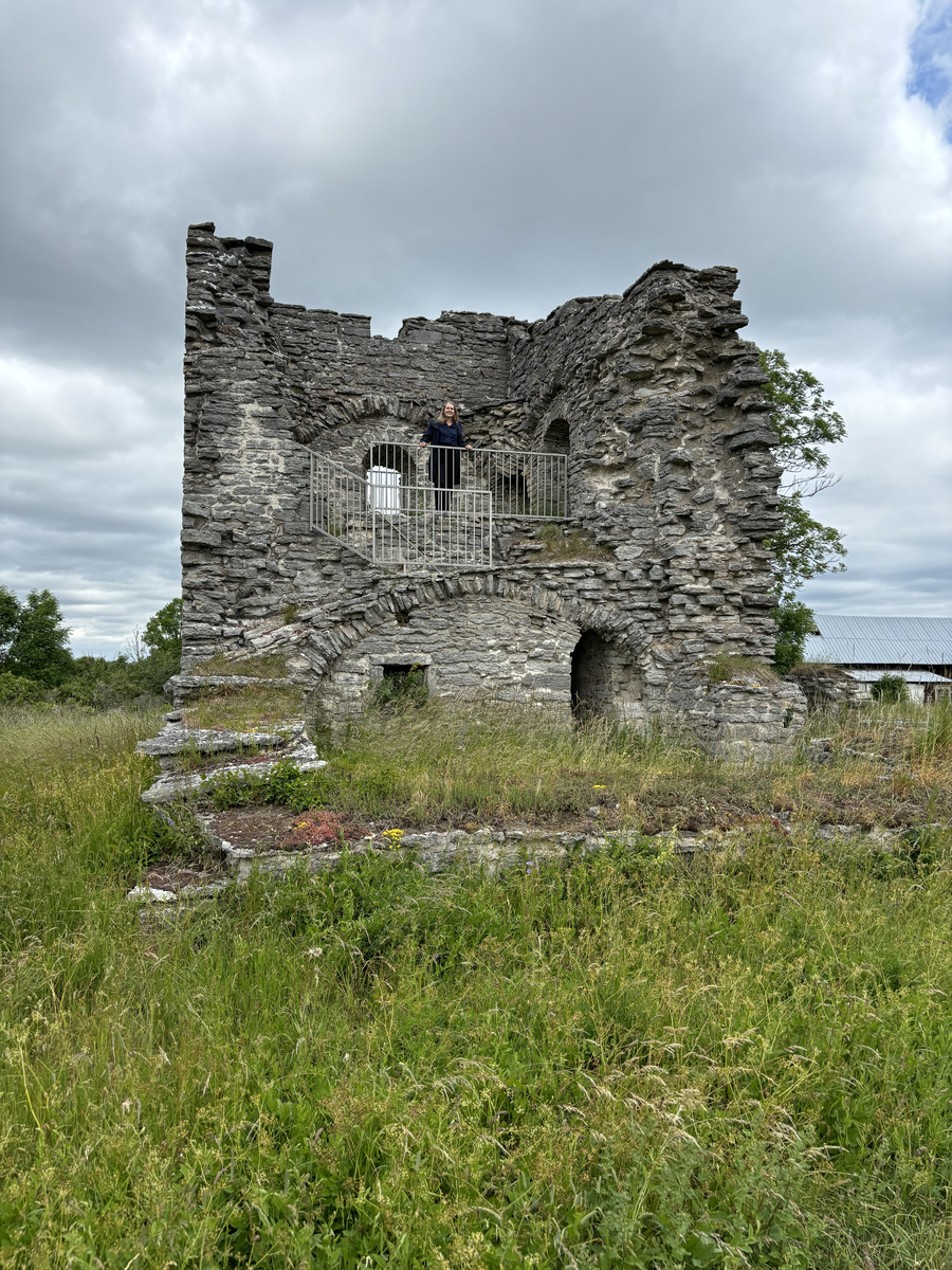 Ruin av medeltida stenhus samt omkringliggande markområde. Huset har varit en magasinsbyggnad av delvis samma typ som Lauks i Lokrume men med mera komplicerad planform. I Bringes ligger längs framsidan i båda våningarna en korridor mot vilken rummen vetter. Våningarna förbinds sinsemellan av en invändig murtrappa. Liksom i Lauks finns i ovanvåningen spår efter ett avträde, som ger vid handen att denna våning tidvis använts som bostad.