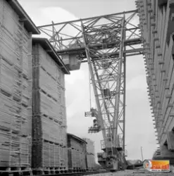 Marma-Långrör Brädgården Söderhamn