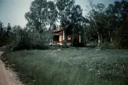 Egon Lindholm's fotosamling 1960- och 1970-talet