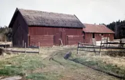 Egon Lindholm's fotosamling 1960- och 1970-talet