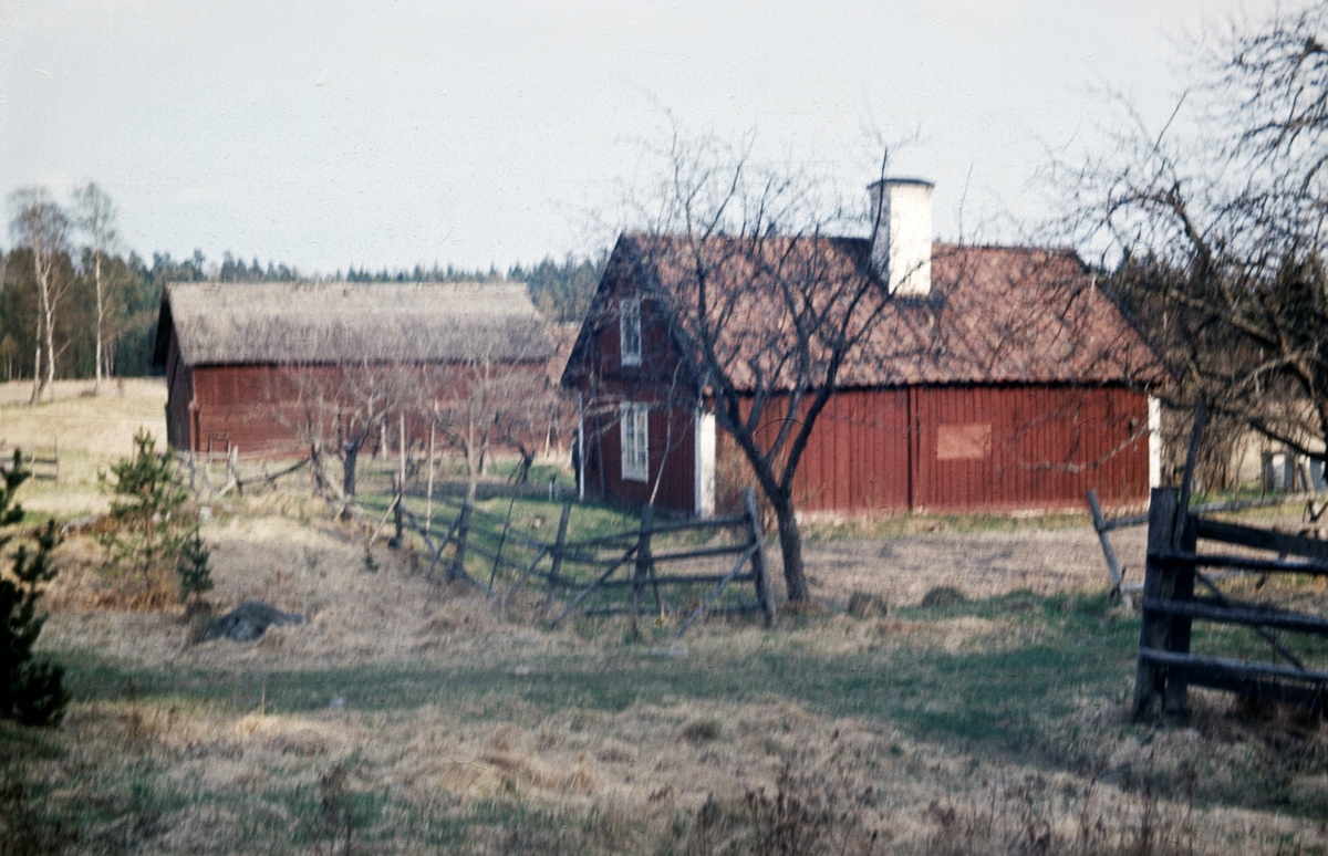 Runsa Nytorp 1964