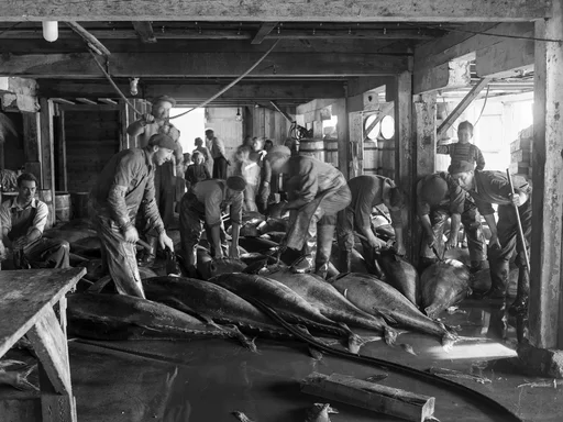 20 maritime museumsgjenstander