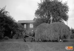 Höbärgning hos Edhs i Berge Kilafors